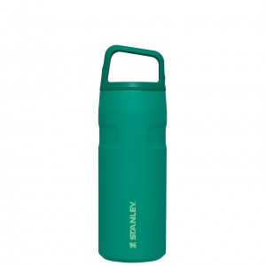 Alpine Stanley IceFlow™ Bottle with Cap and Carry+ Lid | 16 OZ | EHQJ13680