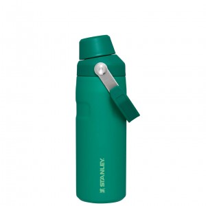 Alpine Stanley IceFlow™ Bottle with Fast Flow Lid | 16 OZ | QWEI49263