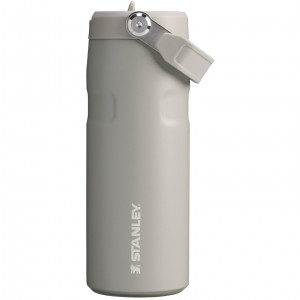 Ash Stanley The IceFlow™ Bottle with Flip Straw Lid | 16 oz | PRJY71043