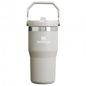 Ash Stanley The IceFlow Flip Straw Tumbler | 20 OZ | Insulated Water Bottle | JBAC87391