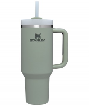 Bay Leaf Stanley Quencher H2.0 Travel Tumbler | 40 OZ | VWDA58490