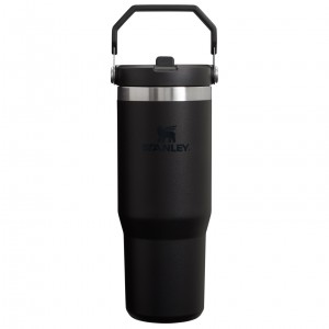 Black 2.0 Stanley The IceFlow Flip Straw Tumbler | 30 OZ | Insulated Water | UHIG53026