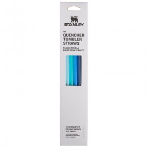 Blue Stanley Replacement Straw 4 Pack | 30 oz Quencher Tumbler | RUDX45962