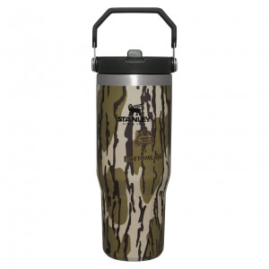 Bottomland Stanley Hunt + Fish IceFlow™ Flip Straw Tumbler | 30 OZ | VDHG13782
