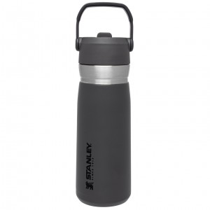 Charcoal Stanley Go Flip Straw Water Bottle | 22 OZ | Insulated Bottle | LEJY05298