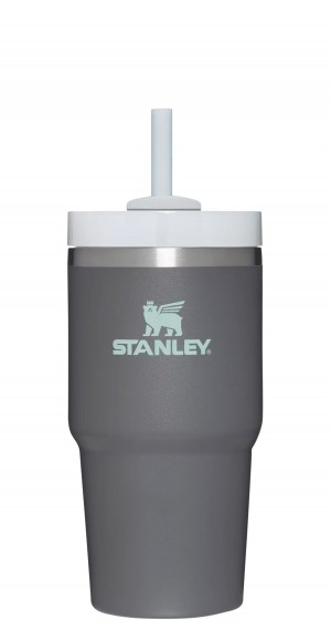 Charcoal Stanley Quencher H2.0 Travel Tumbler | 20 OZ | HAQU43617