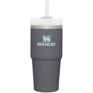 Charcoal Stanley Quencher H2.0 Travel Tumbler | 14 OZ | ZTRV65470