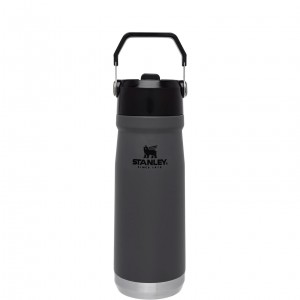 Charcoal Stanley The IceFlow Flip Straw Water Bottle | 22 OZ | Insulated Bottle | Stanl | JEOH05124