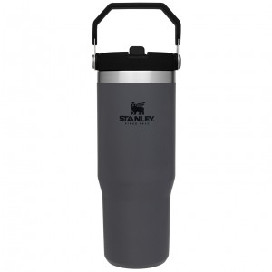Charcoal Stanley The IceFlow Flip Straw Tumbler | 30 OZ | Insulated Water | QWRE81609