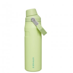 Citron Stanley IceFlow Insulated Bottle with Fast Flow Lid | 24 OZ | DMUJ27981