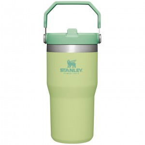 Citron Stanley The IceFlow Flip Straw Tumbler | 20 OZ | Insulated Water Bottle | XTPU82731