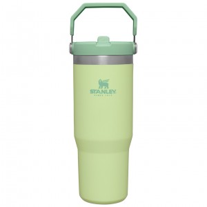 Citron Stanley The IceFlow Flip Straw Tumbler | 30 OZ | Insulated Water | VLRT18946
