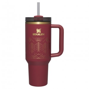 Cranberry Winterscape Stanley Winterscape Quencher H2.0 FlowState™ Tumbler | 40 OZ | WHVX63152