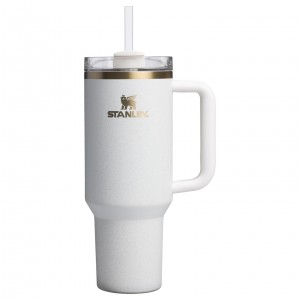 Cream Moon Stanley The Fall Refresh Quencher H2.O FlowState™ Tumbler I 40 OZ - Stanley Cr | QCJT48530