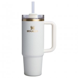 Cream Moon Stanley The Fall Refresh Quencher H2.O FlowState™ Tumbler I 30 OZ - Stanley Cr | CFQT65189