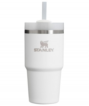 Frost Stanley Quencher H2.0 Travel Tumbler | 20 OZ | EJLK98541