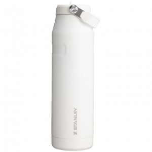 Frost Stanley The IceFlow™ Bottle with Flip Straw Lid | 36 oz | LYHF46589