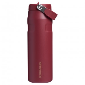 Gilded Pomegranate Stanley The Holiday IceFlow Water Bottle with Flip Straw Lid | 24 OZ | IEQW25019