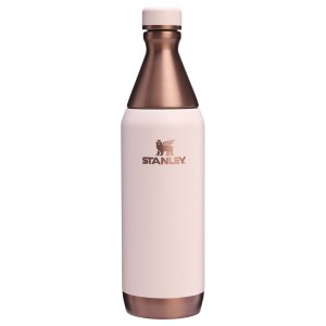 Gilded Sugar Stanley The Holiday All Day Slim Bottle | 20 OZ | TBJW02618