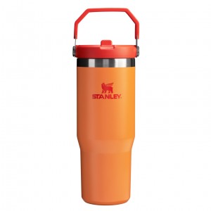Goldenrod Stanley The Heat Wave IceFlow™ Flip Straw Tumbler | 30 OZ | XULT03792