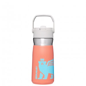Grapefruit Cub Stanley The Wild Imagination IceFlow Flip Straw Water Bottle | 17 OZ | ZNIJ93076
