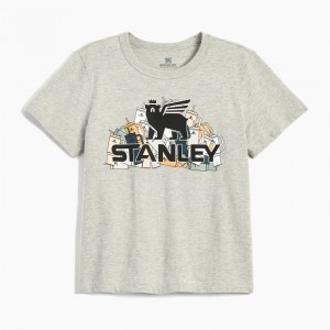Grey Heather Stanley The Thirsty Women's Boxy Tee | NCBK96437
