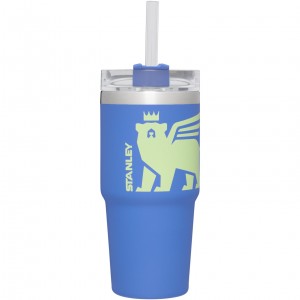 Iris Cub Stanley Adventure Quencher Travel Tumbler | 14 OZ | DAUR34896