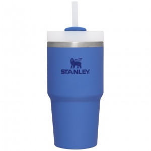 Iris Stanley Quencher H2.0 Travel Tumbler | 20 OZ | FITX06351