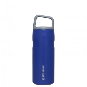 Lapis Glimmer Stanley IceFlow™ Bottle with Cap and Carry+ Lid | 16 OZ | ESDH36749