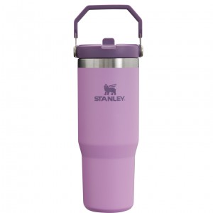 Lilac Stanley The IceFlow Flip Straw Tumbler | 30 OZ | Insulated Water | XFYQ21764
