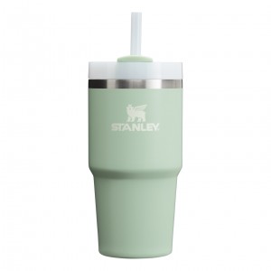 Matcha Cream Stanley Quencher H2.0 Travel Tumbler | 20 OZ | YVJB34871