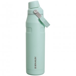 Mint Stanley The Clean Slate IceFlow™ Bottle with Fast Flow Lid | 24 OZ | VDGX72934