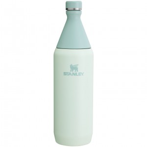 Mist Stanley All Day Slim Bottle | 34 OZ | JMYN40638