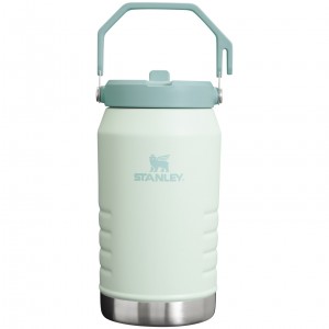 Mist Stanley The IceFlow Flip Straw Jug | 64 OZ | Insulated Water Jug | TQUC23967