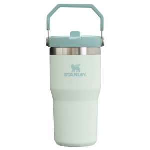 Mist Stanley The IceFlow Flip Straw Tumbler | 20 OZ | Insulated Water Bottle | CWTM15843