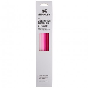 Pink Stanley Replacement Straw 4 Pack | 40 OZ Quencher Tumbler | PLST62714