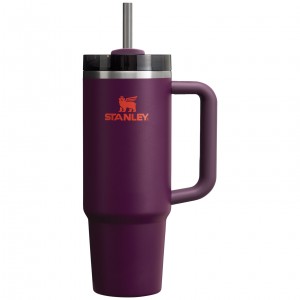 Plum Stanley Quencher H2.0 Travel Tumbler | 30 OZ | PCMG03217