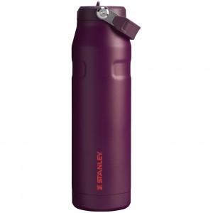 Plum Stanley The IceFlow™ Bottle with Flip Straw Lid | 36 oz | LSGX62857