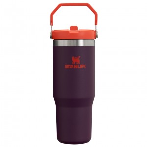 Plum Stanley The IceFlow Flip Straw Tumbler | 30 OZ | Insulated Water | XZNP72439