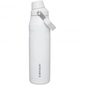 Polar Stanley IceFlow Insulated Bottle with Fast Flow Lid | 36 OZ | KYAX71346