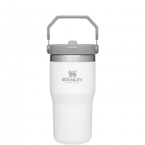 Polar Stanley The IceFlow Flip Straw Tumbler | 20 OZ | Insulated Water Tumbler | Sta | PRUD57302