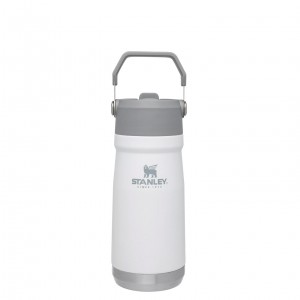 Polar Stanley The IceFlow Flip Straw Water Bottle | 17 OZ | Insulated Bottle | Stanl | SUBI72345