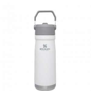 Polar Stanley The IceFlow Flip Straw Water Bottle | 22 OZ | Insulated Bottle | Stanl | CTEI12875