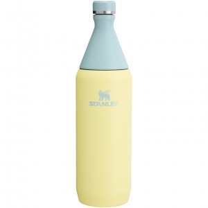 Pomelo Stanley All Day Slim Bottle | 34 OZ | RVQN03856