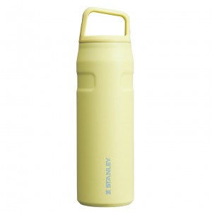 Pomelo Stanley IceFlow™ Bottle with Cap and Carry+ Lid | 24 OZ | HLAO10673