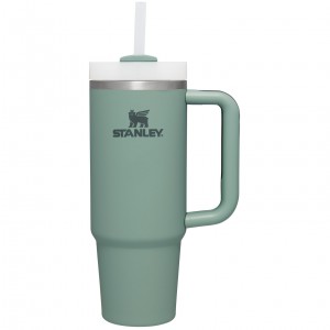Shale Stanley Quencher H2.0 Travel Tumbler | Soft Matte | 30 OZ | GALH91705