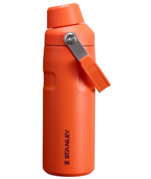 Tigerlily Plum Stanley IceFlow™ Bottle with Fast Flow Lid | 16 OZ | MUPQ72569
