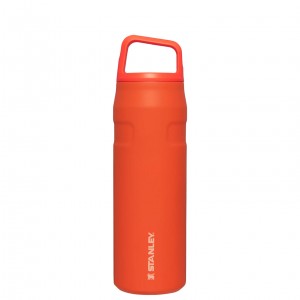 Tigerlily Stanley IceFlow™ Bottle with Cap and Carry+ Lid | 24 OZ | AKRY68594