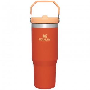 Tigerlily Stanley The IceFlow Flip Straw Tumbler | 30 OZ | Insulated Water | ZOPE46172