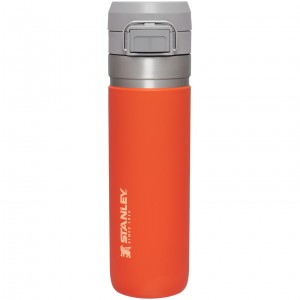 Tigerlily Stanley The Quick Flip Go Water Bottle | 24 OZ | ATVP30951
